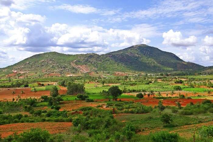 View from Nandi Hills