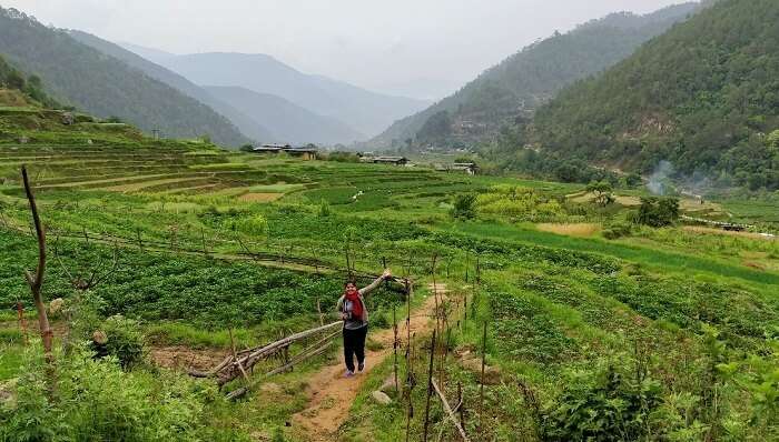 rohit bhutan family trip travelogue chilli fields