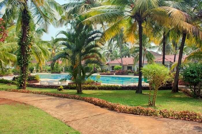swimming pool in villa