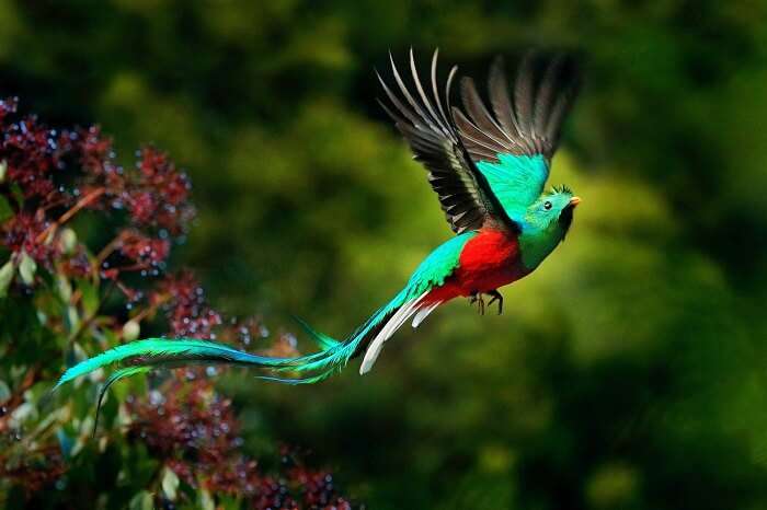 Things to do in Costa Rica