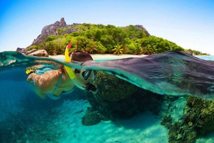 Snorkeling in Seychelles