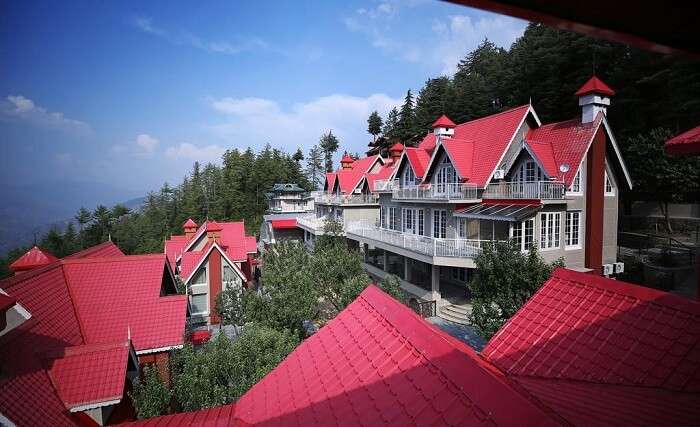 summit resort mashobra