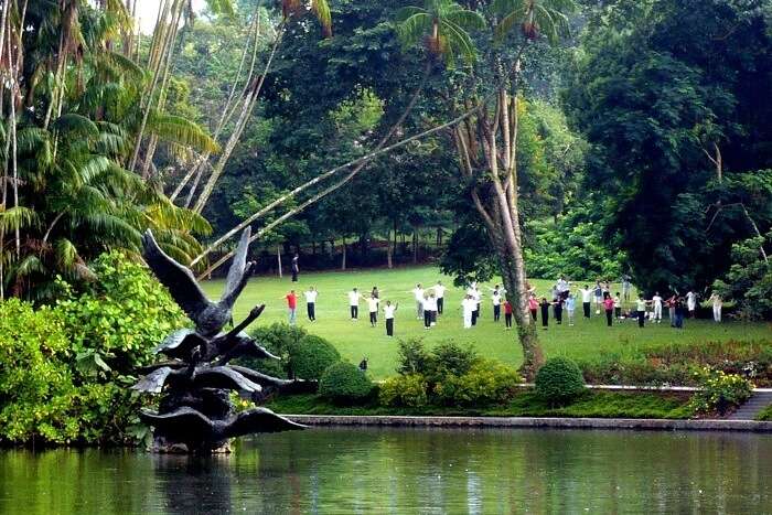 Swan Lake in Singapore
