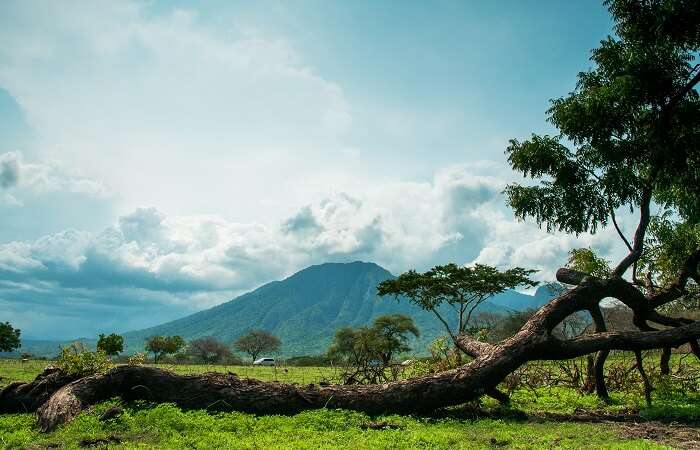 Baluran National Park