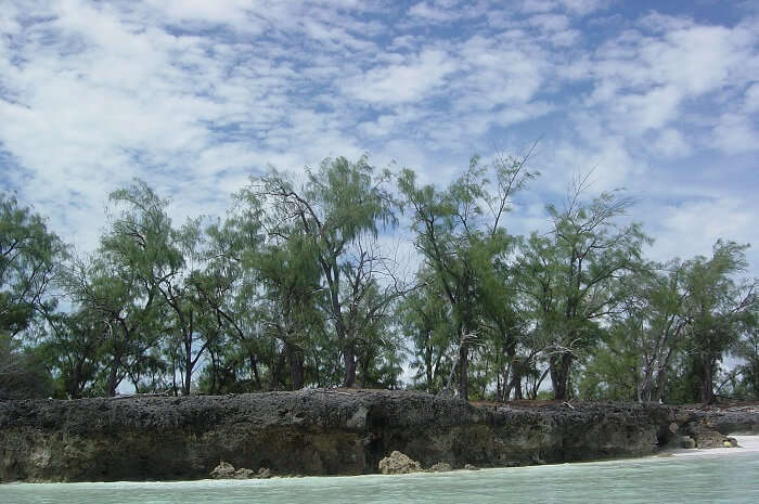 Aldabra Atoll (Seychelles)