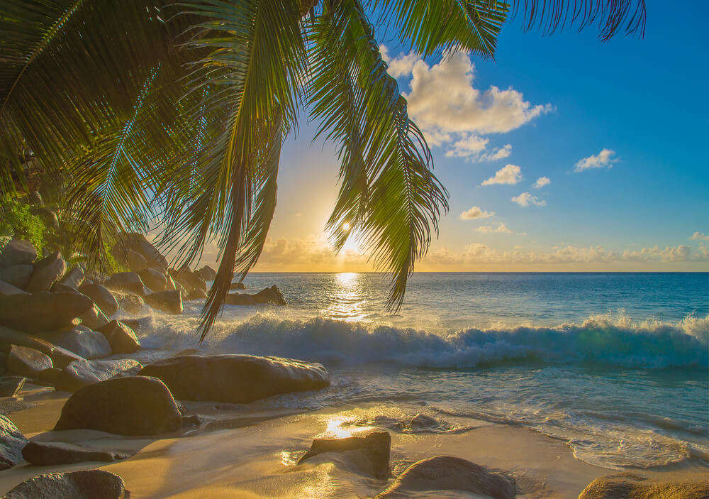 Anse Georgette Beach