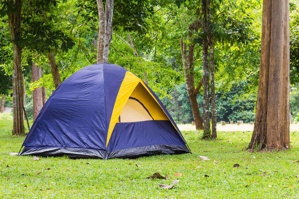 expansive camping ground