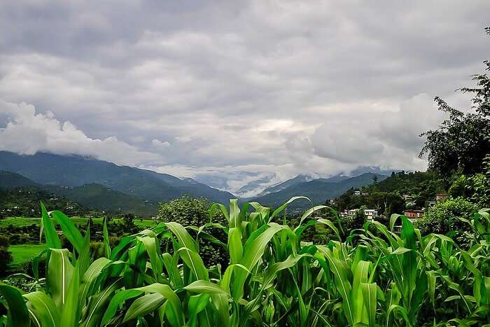 Best Time To Visit the Karsog Valley