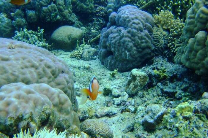 Bunaken National Marine Park