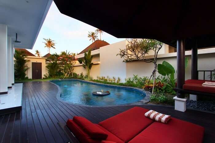 perfect spot to relax and swim around