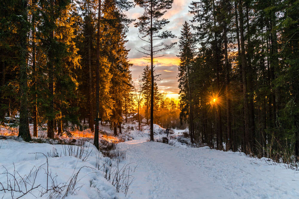 Nordmarka forest is famous for hiking