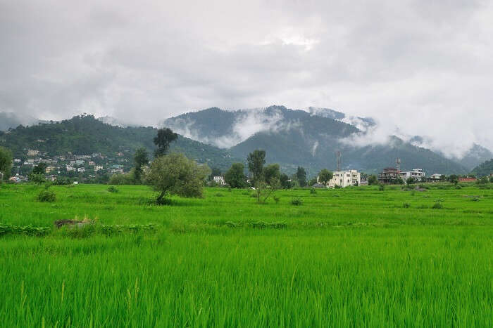 History Of Karsog Valley