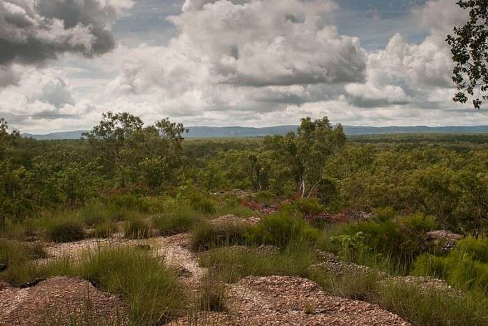 Kakadu National Park Timings & Entrance Fee