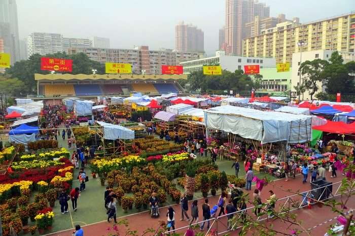 Lunar New Year Fair