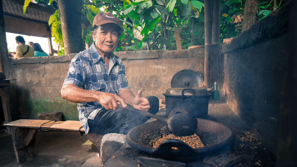 Luwak Civet Coffee Farm shutterstock_313631918