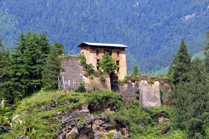 Marvel at the magnificent ruins of the Drukgyel Dzong