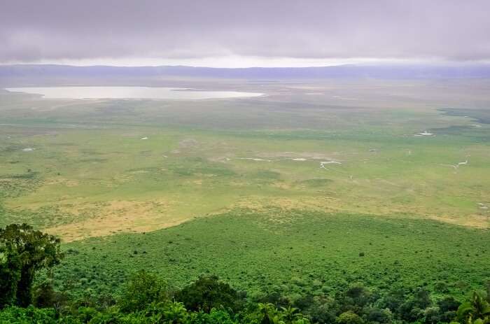 Ngorongoro Conservation Area