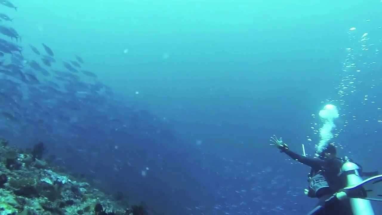 beginner diving in Maldives