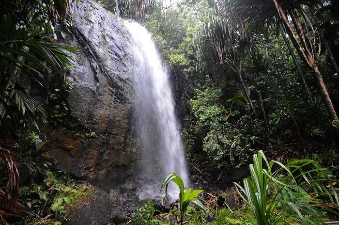 Praslin Waterfall