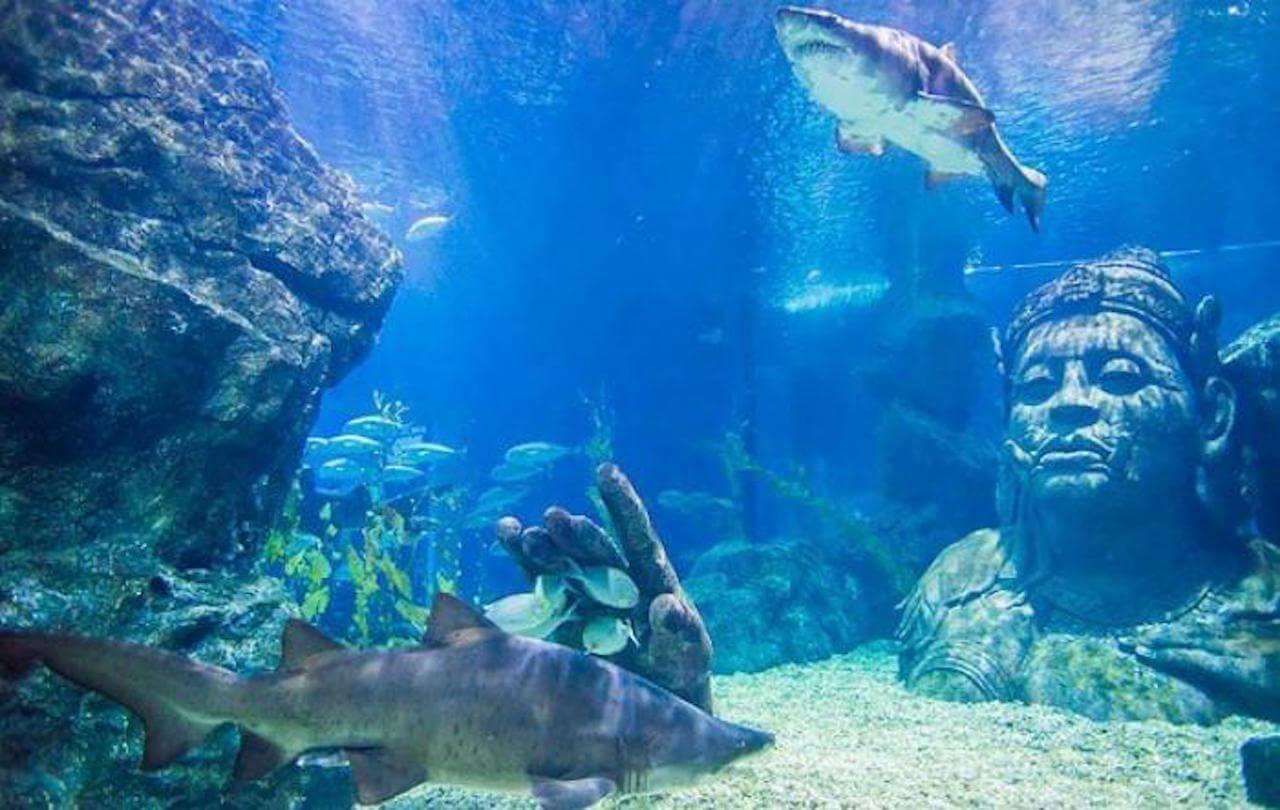huge aquarium
