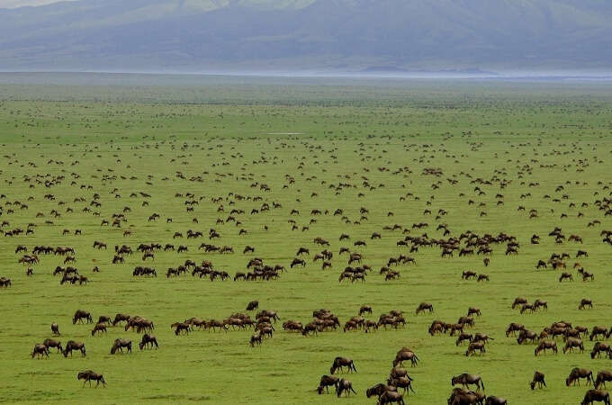 Serengeti National Park