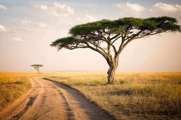 Serengeti National Park