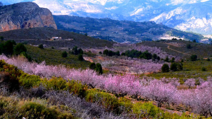 Sierra de Aitana