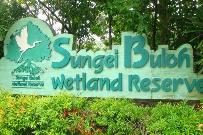 Sungei Buloh Wetland Reserve