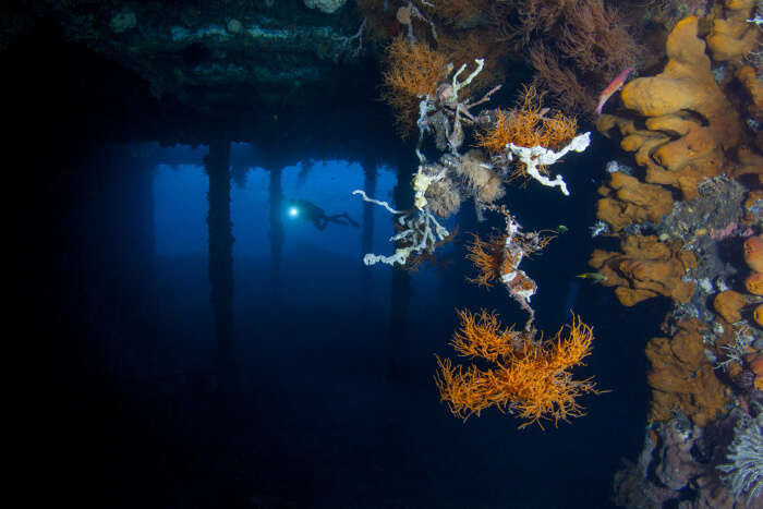 US Cargo shipwreck - USAT Liberty at Tulamben, Bali