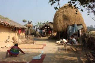 Visit the Chitwan Tharu Villageb