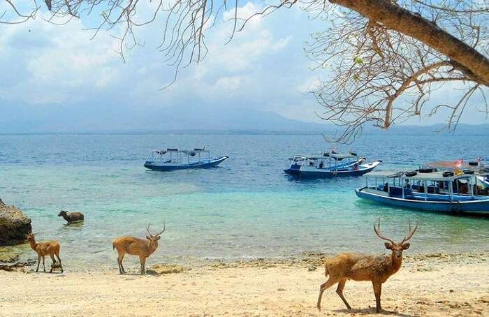 Bali Barat National Park