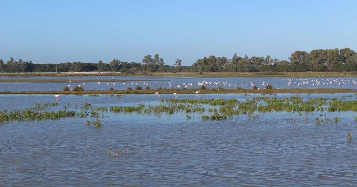 Doñana National Park