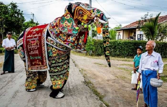 dressed up elephant meeting a man