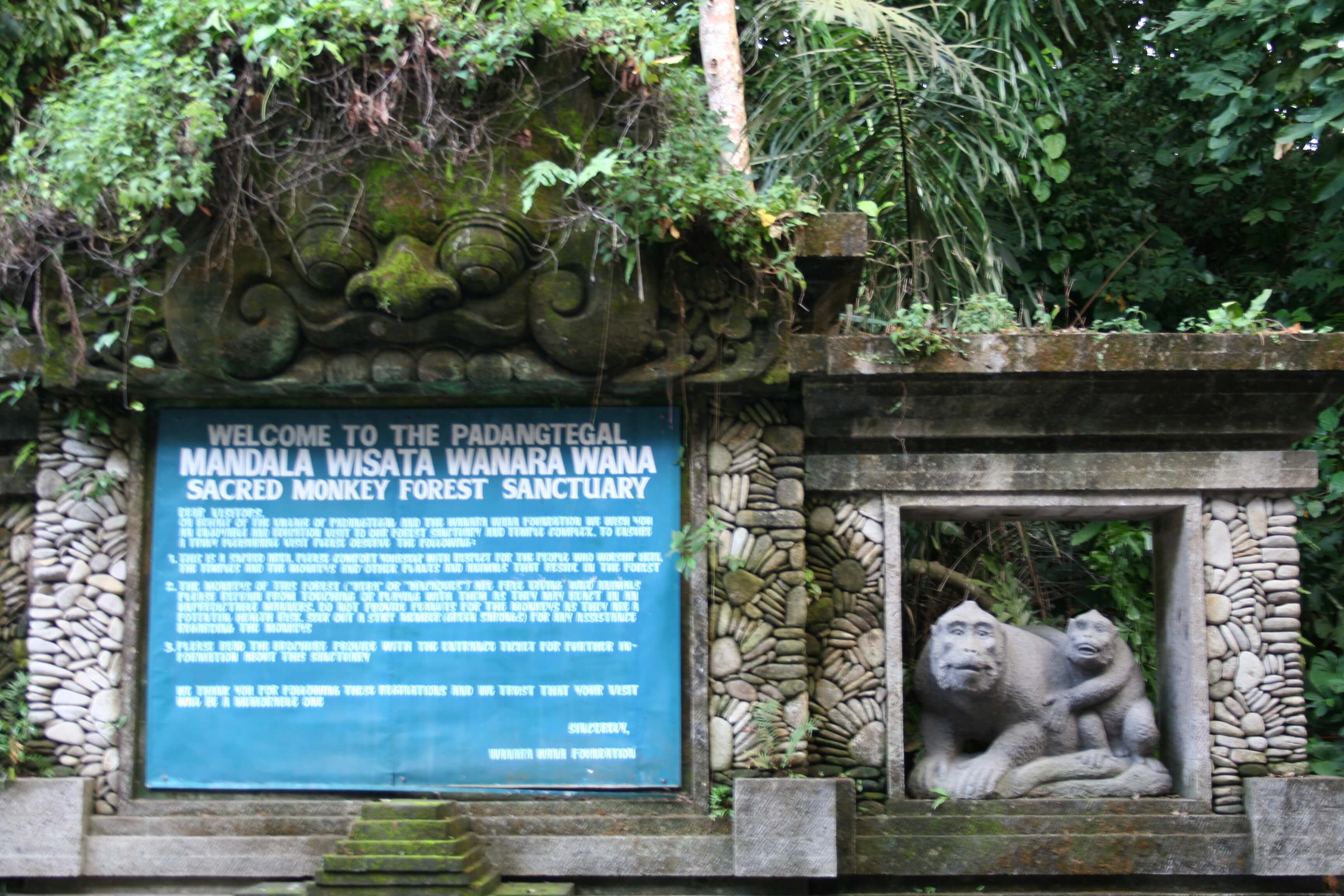 Sacred monkey forest sanctuary