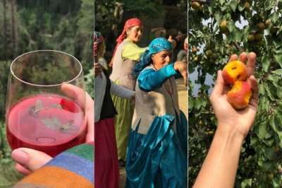 Pahadi Pure Experience