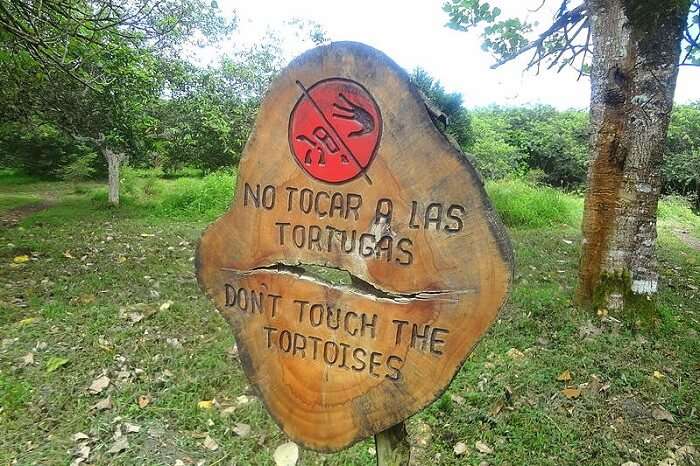 rules galapagos