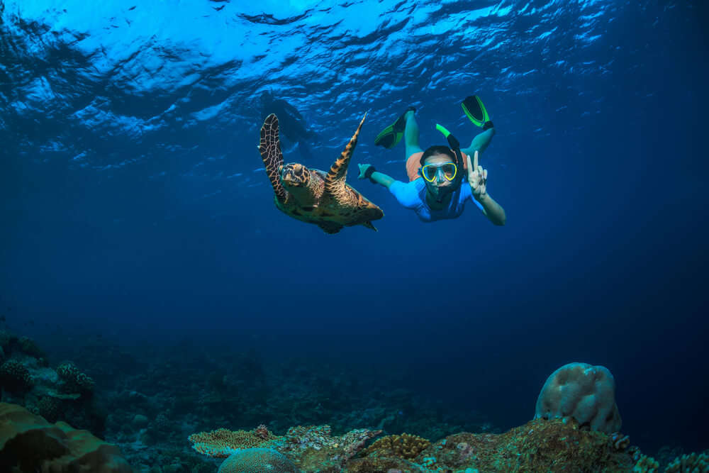 snorkeling