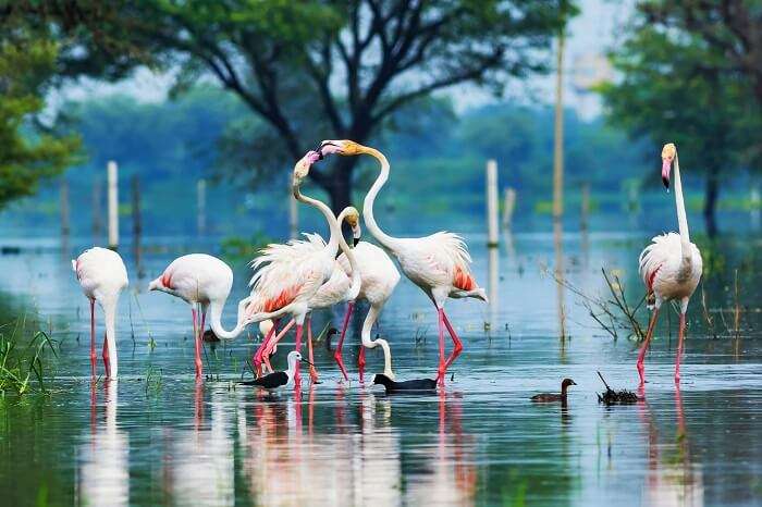 Bharatpur attractions