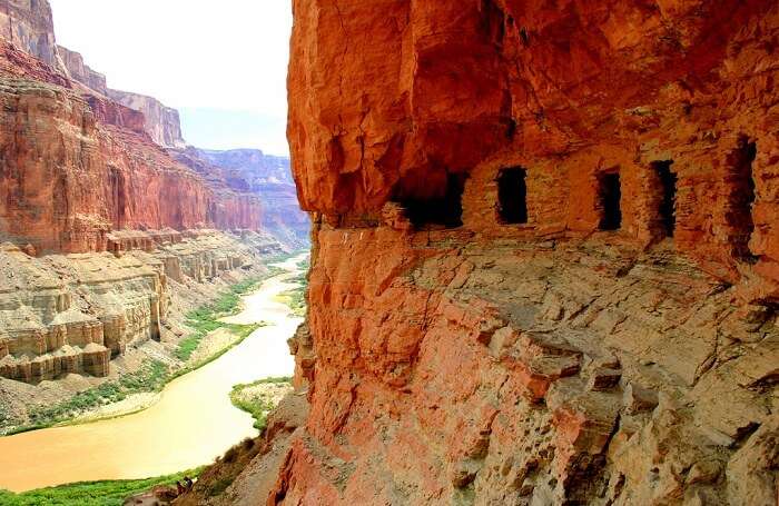 Grand Canyon View