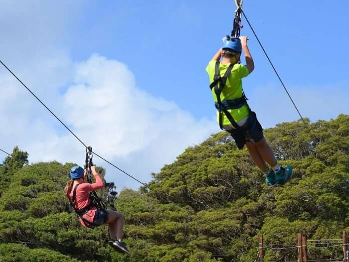 ziplining adventure in ile aux cerf