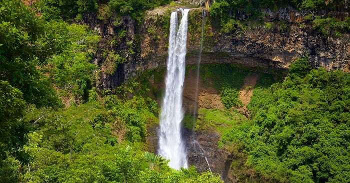 Black-River-Gorges-National-Park