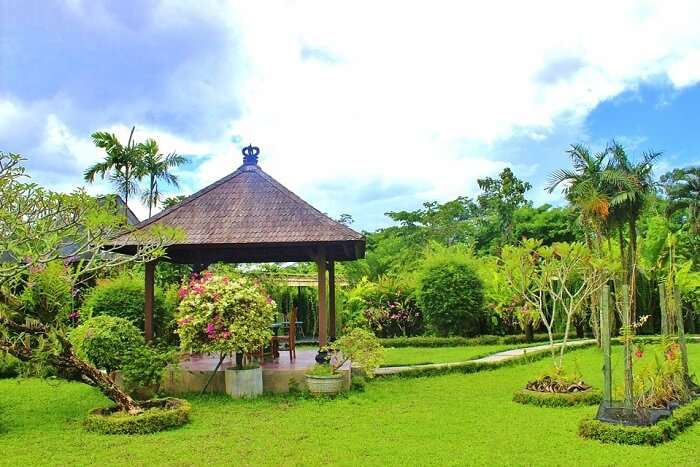 Bali Orchid Garden