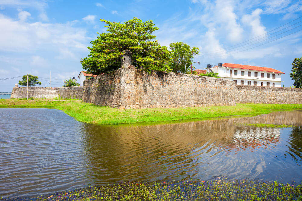 greenery and tidal ponds