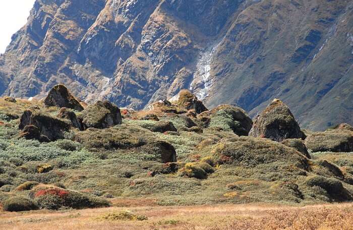 Best Time To Visit Makalu Barun National Park