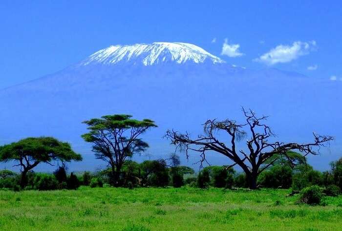 Amboseli Kenya Mountain