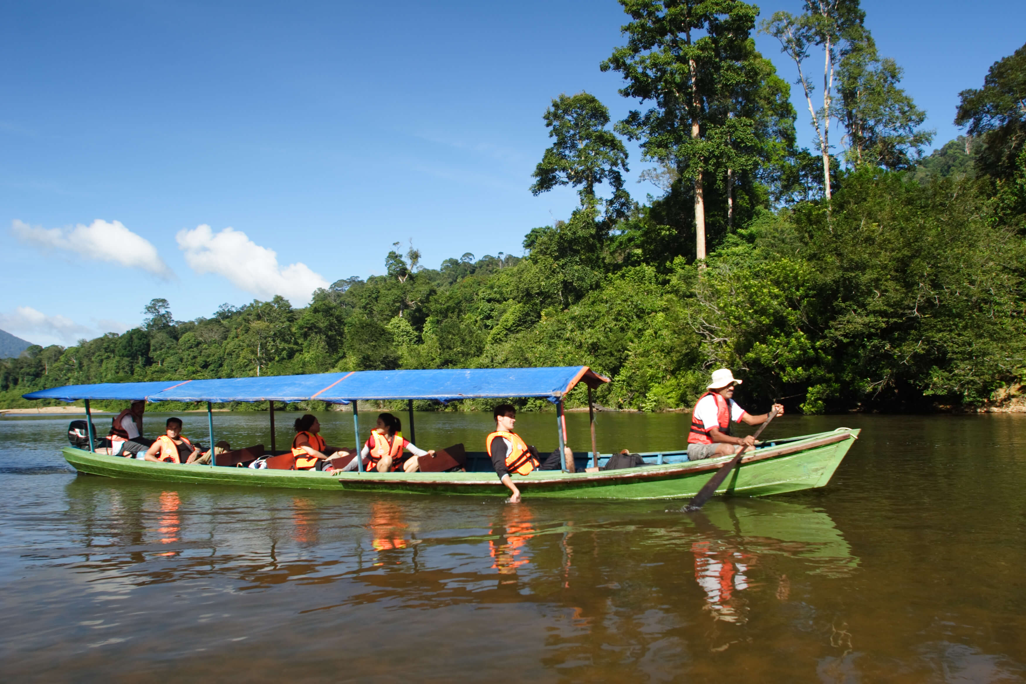 THE TAMAN NEGARA ENDAU ROMPIN