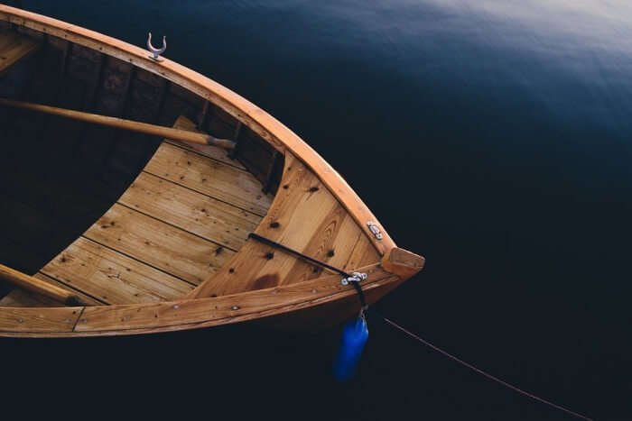 Boating and wildlife watching