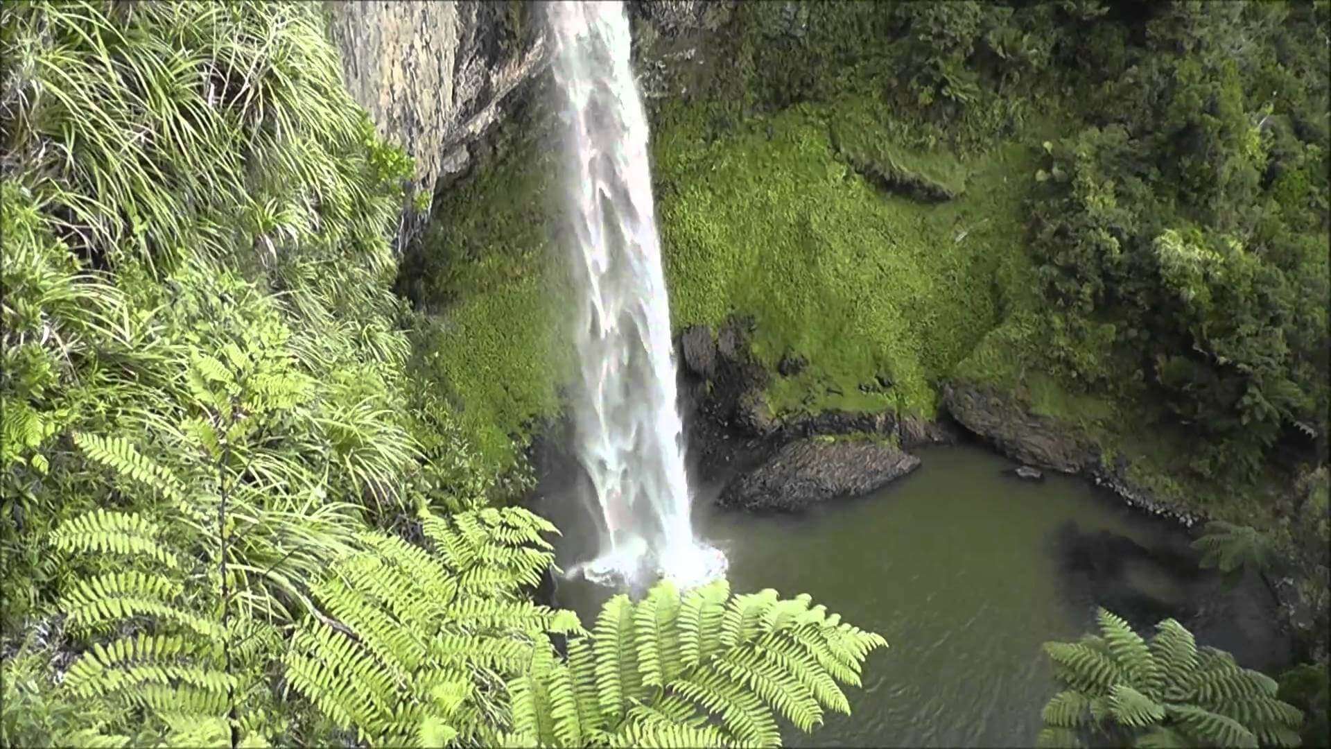 beautiful bride's veil falls