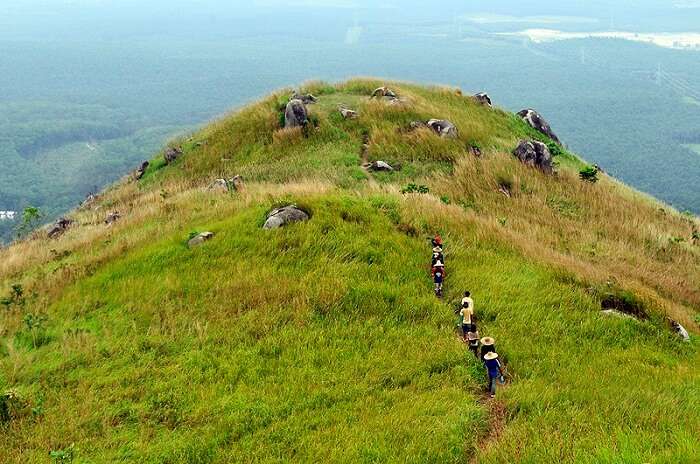 Bulkit Broga in Malaysia