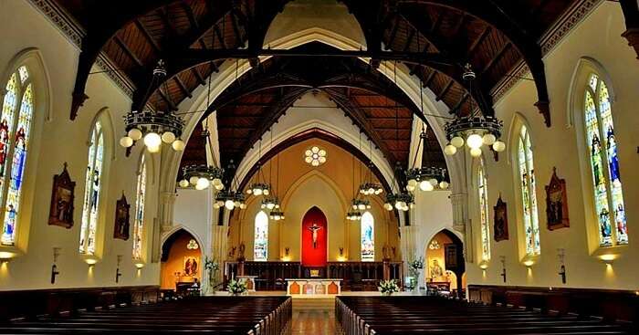 catholic church in new zealand